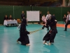 kendo_dfo_2015_1780