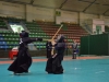 kendo_dfo_2015_2094