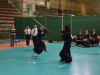 kendo_dfo_2015_2164